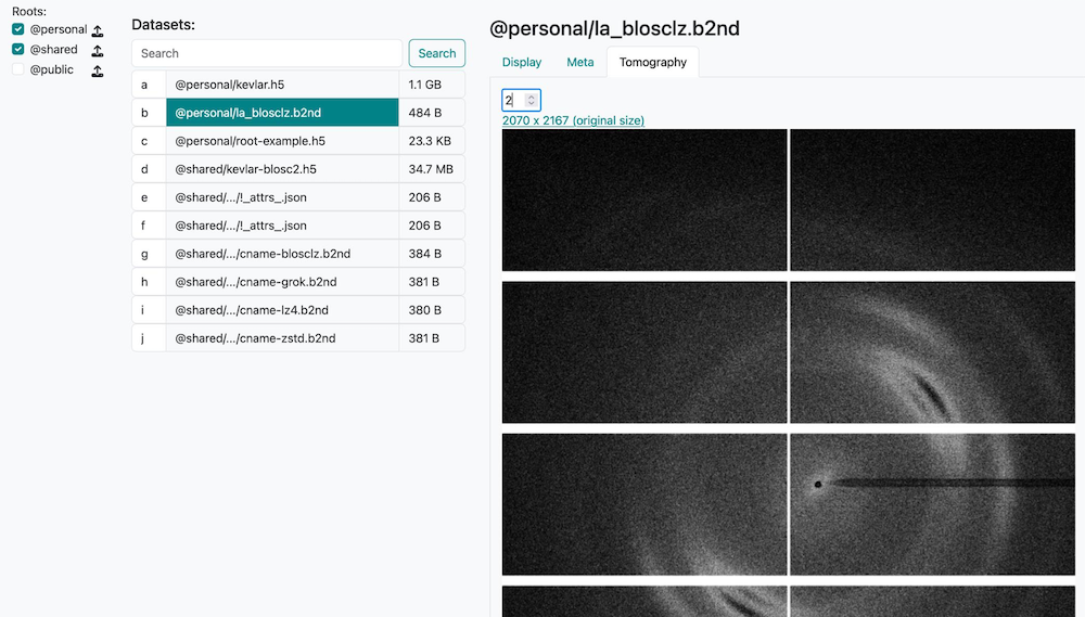 Figure: web viewer for tomography