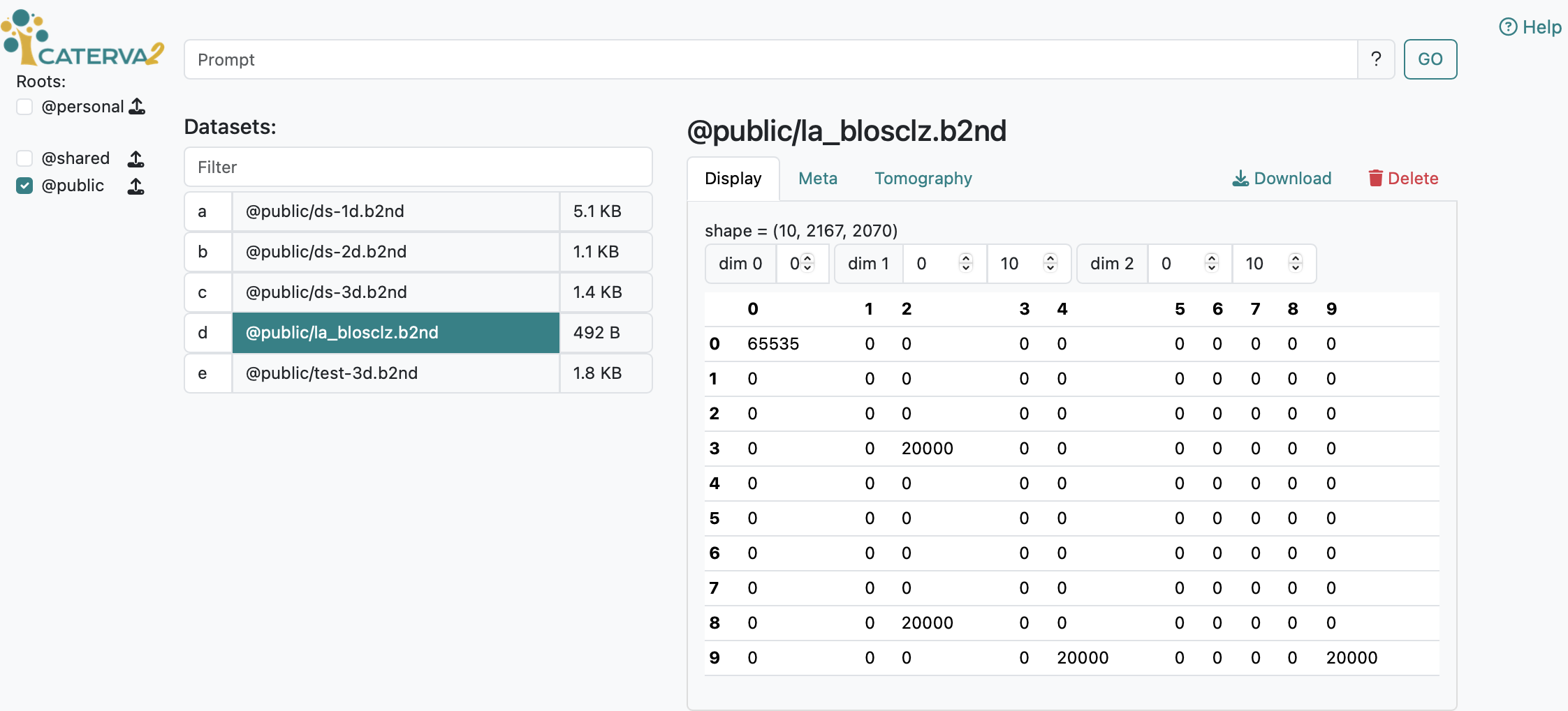 Figure: Caterva2 Web GUI